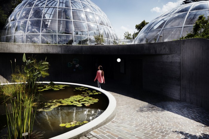 Noe Flum Zürich Tourismus Botanischer Garten Glaskuppel