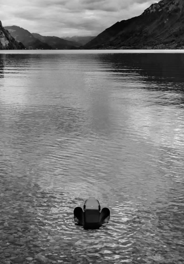 Noe Flum einzigart Eames Elephant See