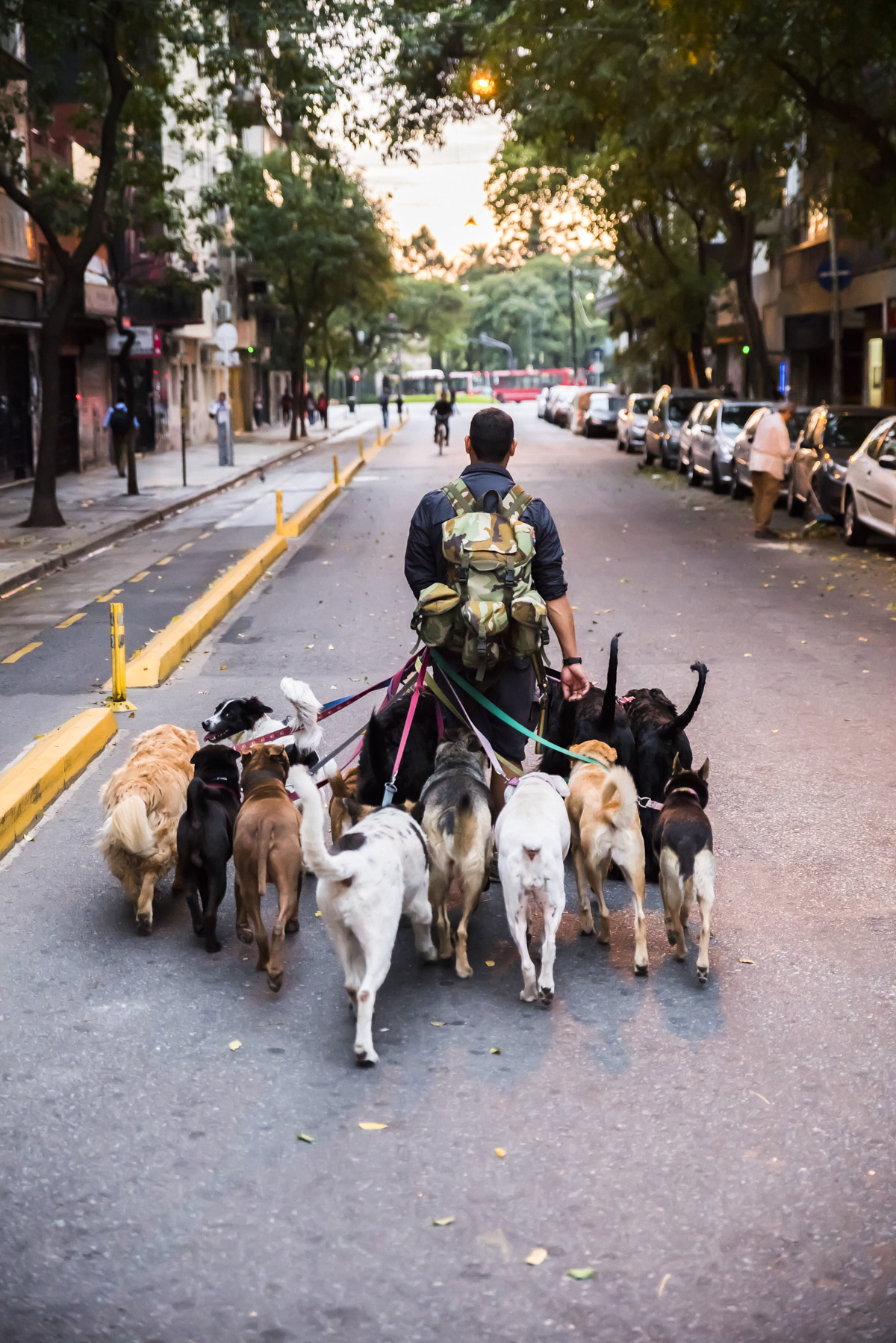 Fabian Hugo Buenos Aires Hundeführer Rudel Stadtviertel Palermo Zentrum 