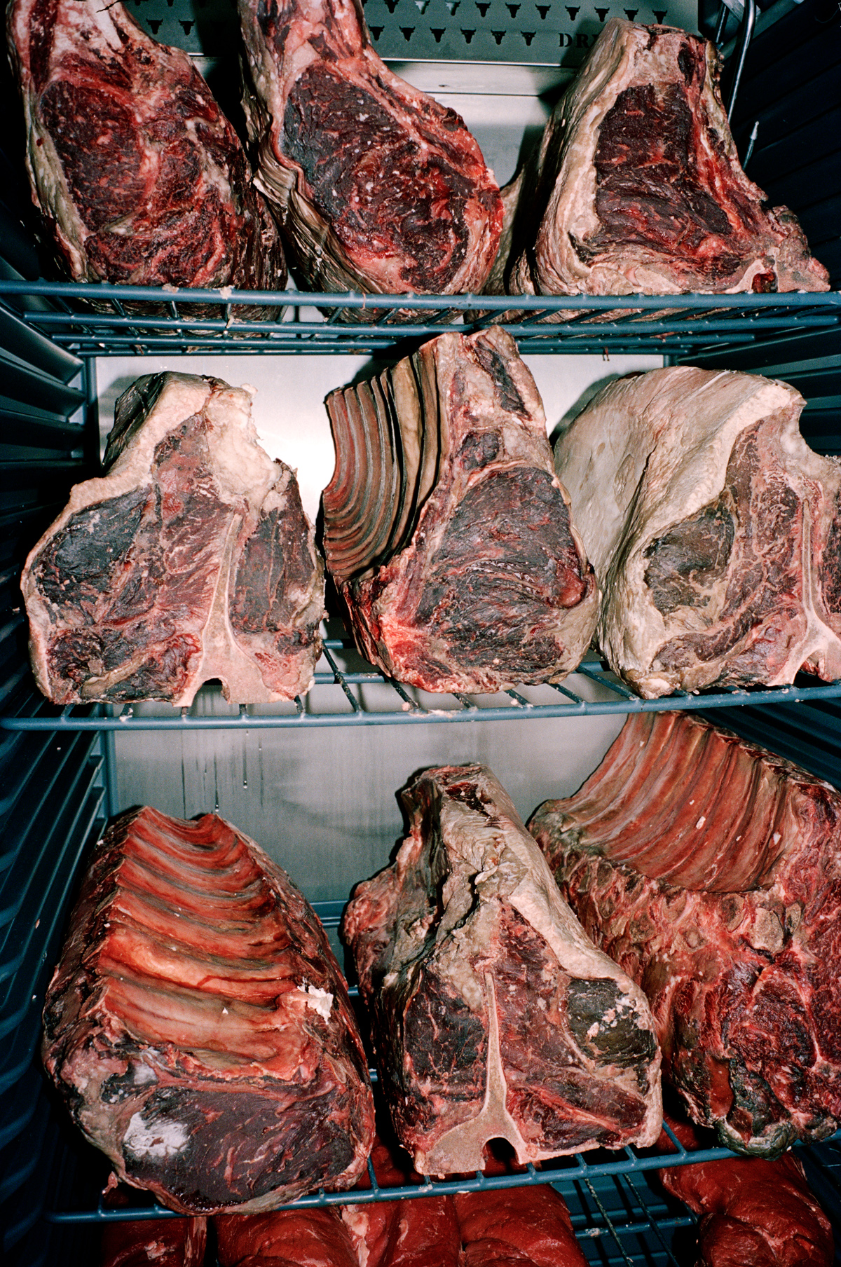 Simon Habegger Simons' Steakhouse Zürich dry aged beef Fleisch Reifung
Schrank